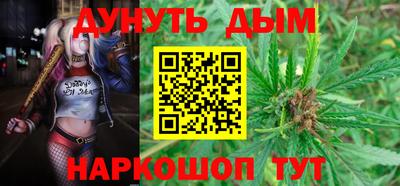 мдпв Пугачёв