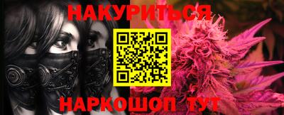 мдпв Пугачёв