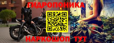 мдпв Пугачёв