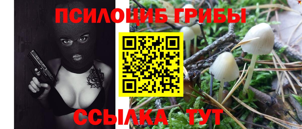Псилоцибиновые грибы мицелий Самара