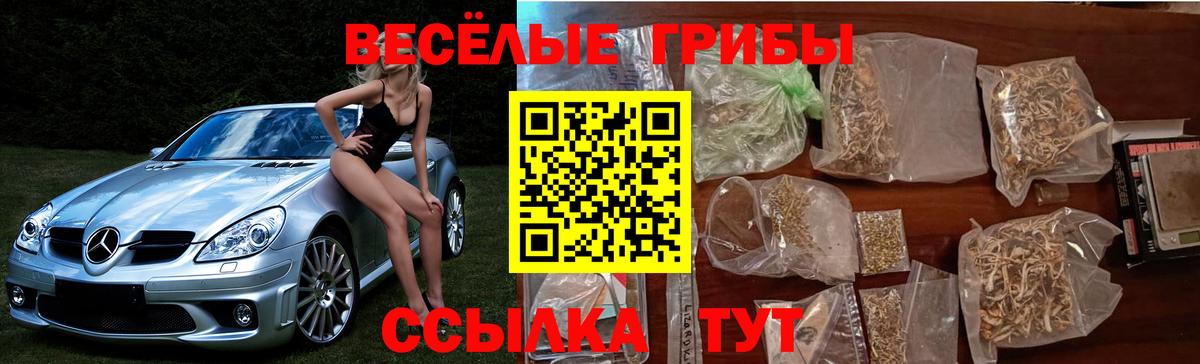 Самара  Псилоцибиновые грибы мицелий  Вход с VPN  Галлюциногенные грибы MAGIC MUSHROOMS 